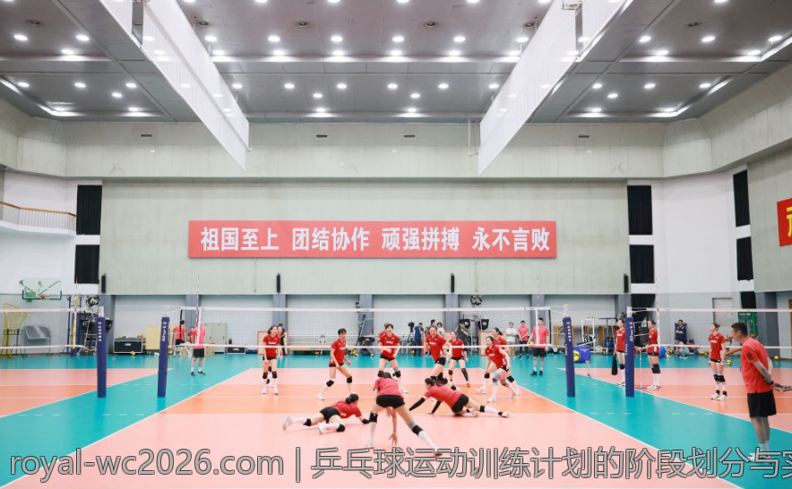 乒乓球运动训练计划的阶段划分与实施