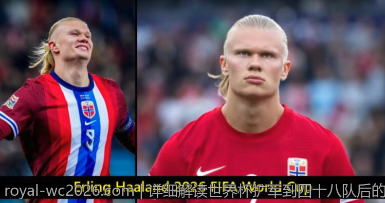 2026年世界杯的志愿者故事与感人瞬间精选